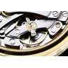 Daytona 116508  904L YG Meteorite/Black/Stk SWF SH4130