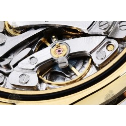 Daytona 116508  904L YG Meteorite/Black/Stk SWF SH4130