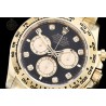 Daytona 904L YG/YG Black/Gold/Dia APSF SH4131