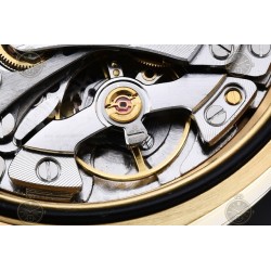 Daytona 904L YG/YG Black/Gold/Dia APSF SH4131