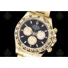 Daytona 904L YG/YG Black/Gold/Stk APSF SH4131