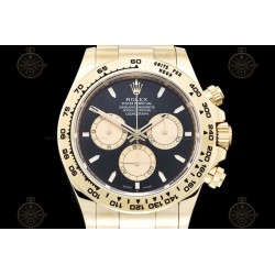 Daytona 904L YG/YG Black/Gold/Stk APSF SH4131