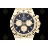 Daytona 904L YG/YG Black/Gold/Stk APSF SH4131