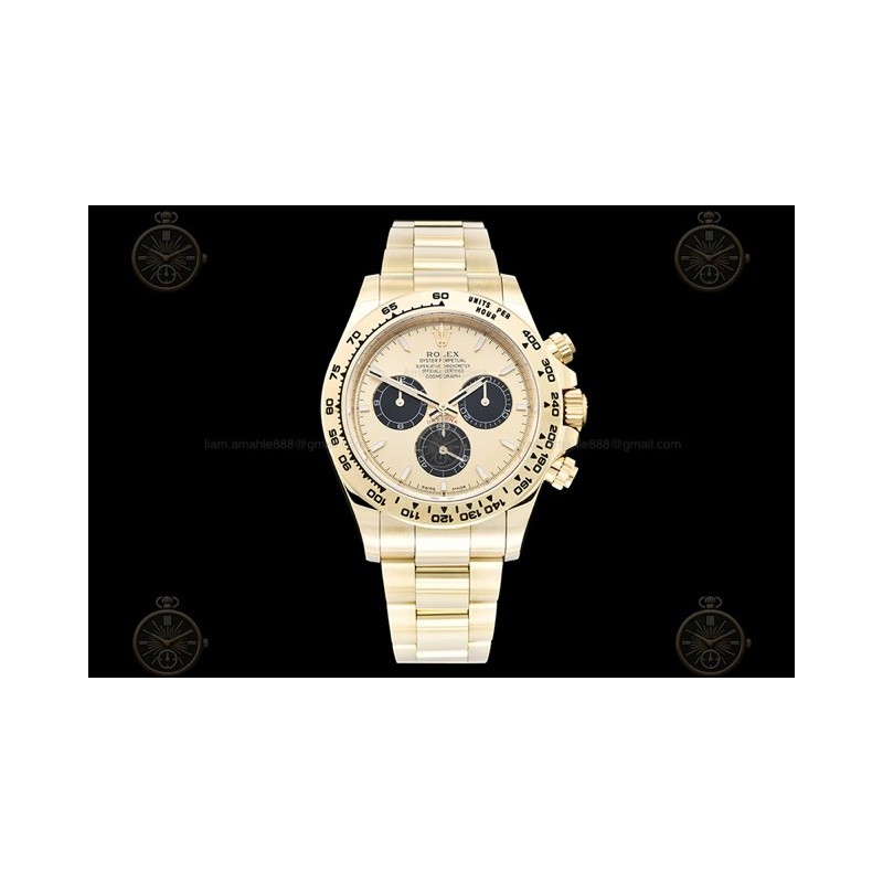 Daytona 904L YG/YG Gold/Black/Stk APSF SH4131