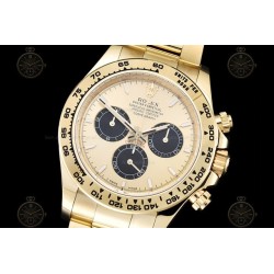 Daytona 904L YG/YG Gold/Black/Stk APSF SH4131