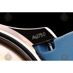 Aquanaut 5261 RG/RU Grey Blue/Num F3K 9015 mod