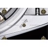 Day-Date 40MM 904L Wtd SS/FLT/PRES Meteorite/Dia RGF VR3255