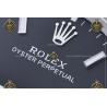 Oyster Perpetual 41MM 124300 904L SS/SS Blk/Stk CLEAN PLUS DD3230