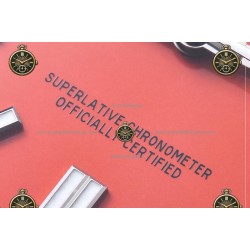 Oyster Perpetual 41MM 124300 904L SS/SS Red/Stk CLEAN PLUS DD3230