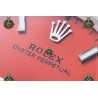 Oyster Perpetual 41MM 124300 904L SS/SS Red/Stk CLEAN PLUS DD3230