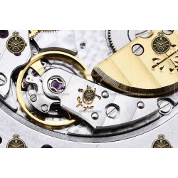 Grand Complication Celestial SS/RUB/LE Blue PPF A240