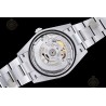 Oyster Perpetual 124300 41mm  SS/Oys Bubbles/Stk Clean VR3230