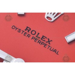 Oyster Perpetual 124300 41mm  SS/Oys Red/Stk Clean VR3230