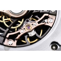 Royal Oak SS/SS Skeleton/Stk THB SA3132