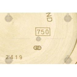 Day-Date 40mm 904L YG/Flt/Pres Gold/B.Dia GMF A2836