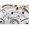 Daytona 126508 YG White/Stk EWE A4131