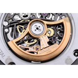 Royal Oak SS/SS Skel/Stk THB V2 SA3132