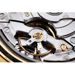 Day-Date 40mm 904L Wtd YG/Flt/Pres Gold/Stk THB VR3255